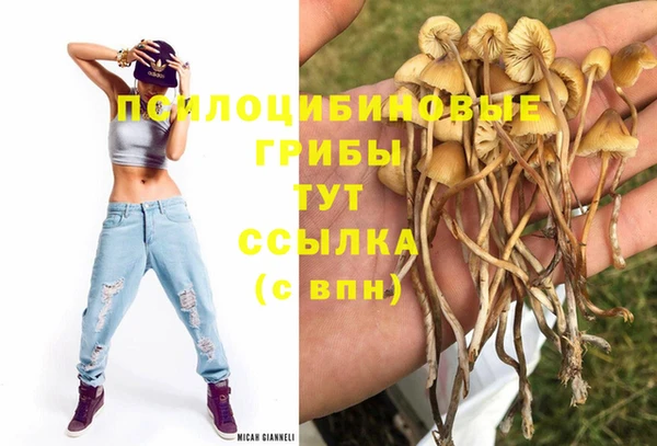 тгк Алексеевка
