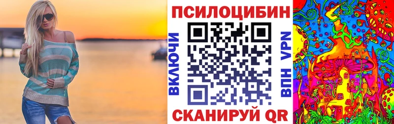 купить сайты Раменское Псилоцибиновые грибы Cubensis